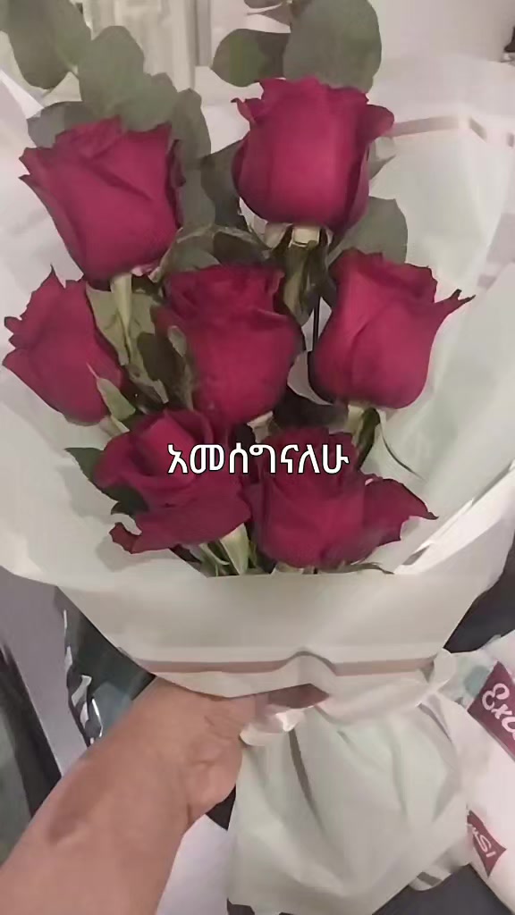 @ያልተቃኝ ቅኔ