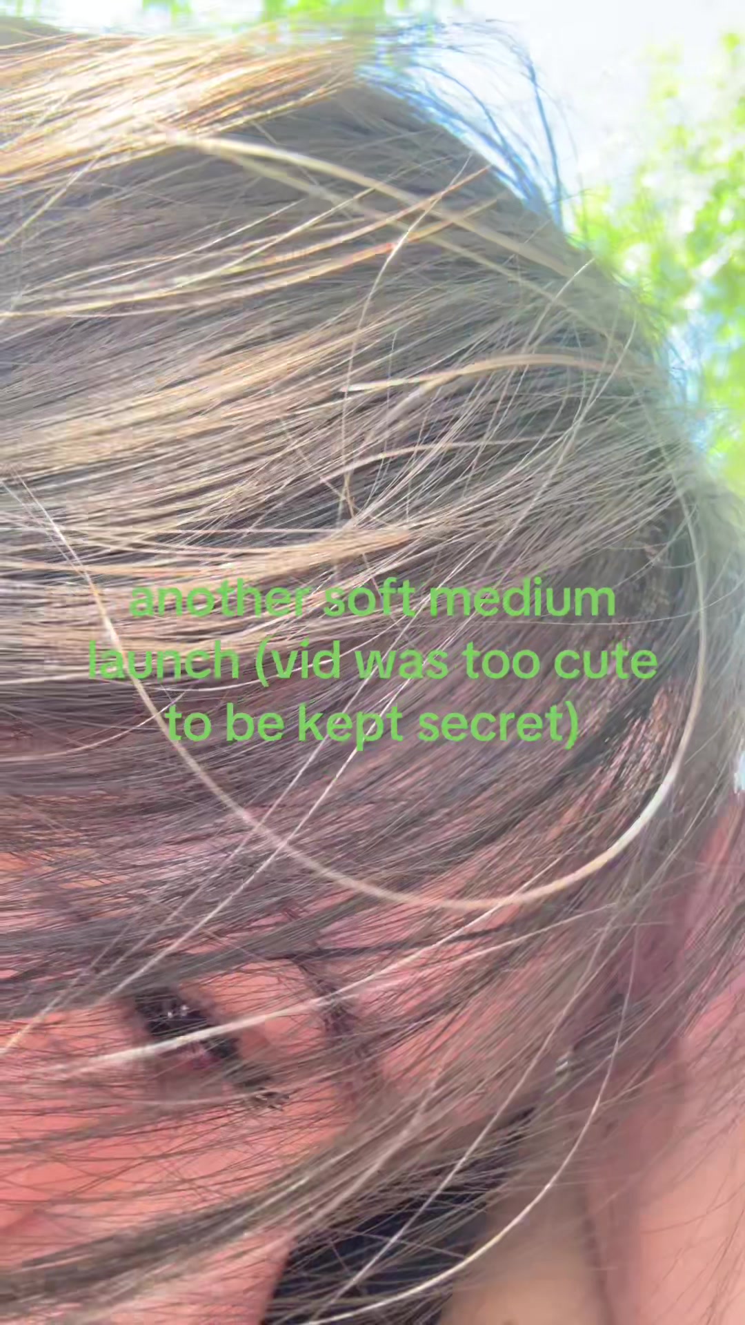 @unicornfarts
