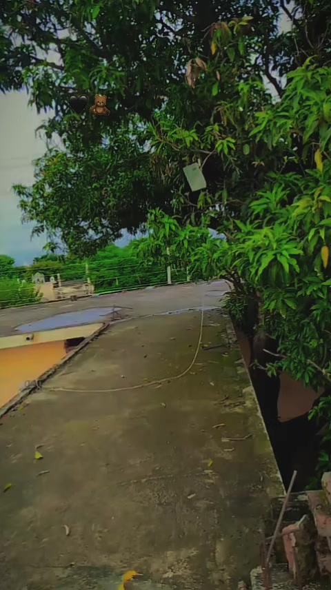 @🥺 تلاش سکون علی 💔