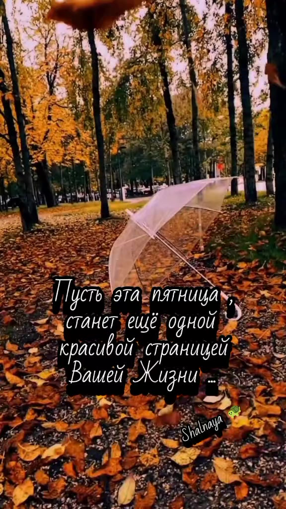 @Шальная 🐢🐢🐢