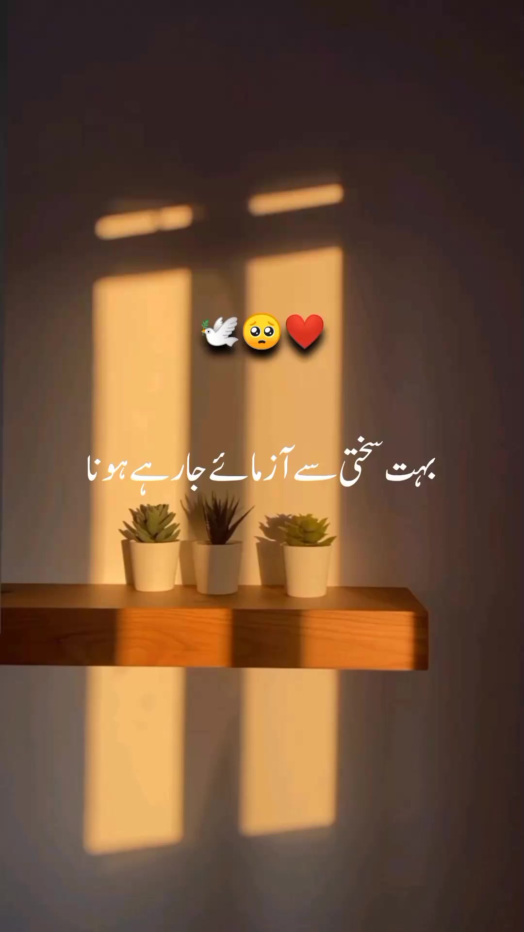 @❤️🩹