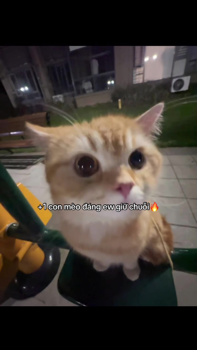 @Đèn Đường Số 12