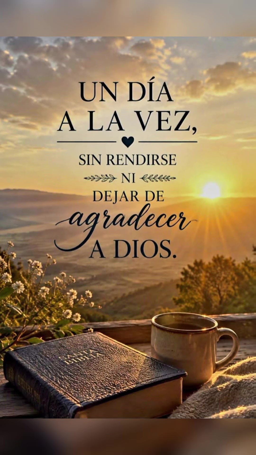 @elvirasvg