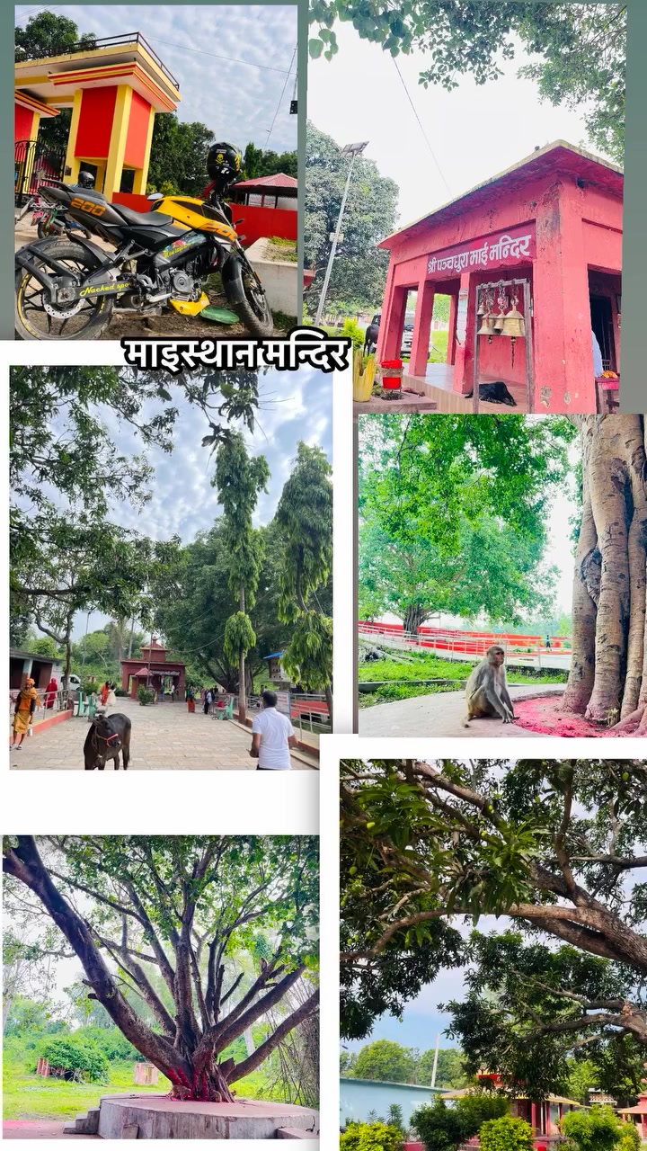 @umeshthapa9745