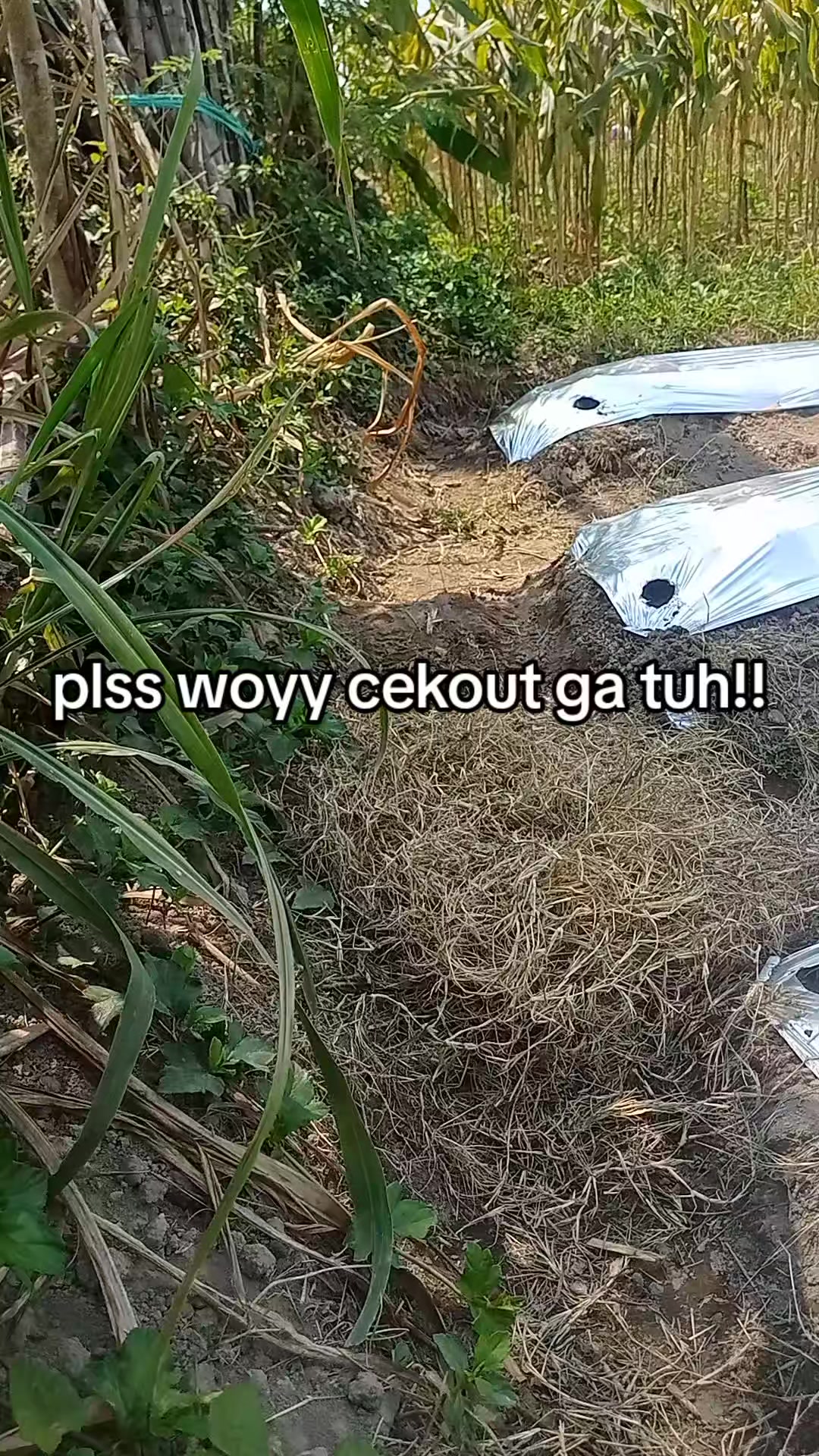@smuabarang_ada
