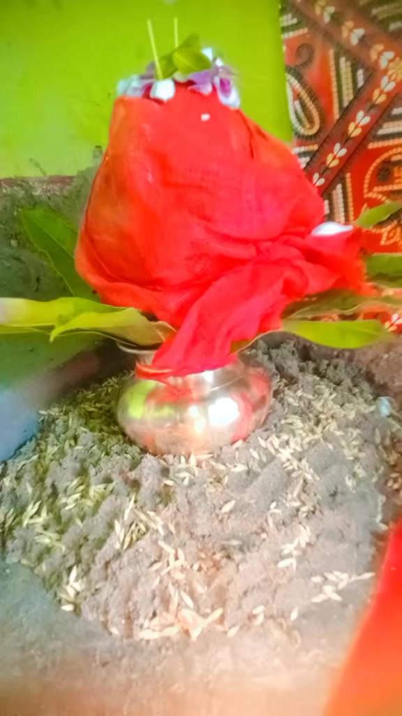 @renu_sharma1174