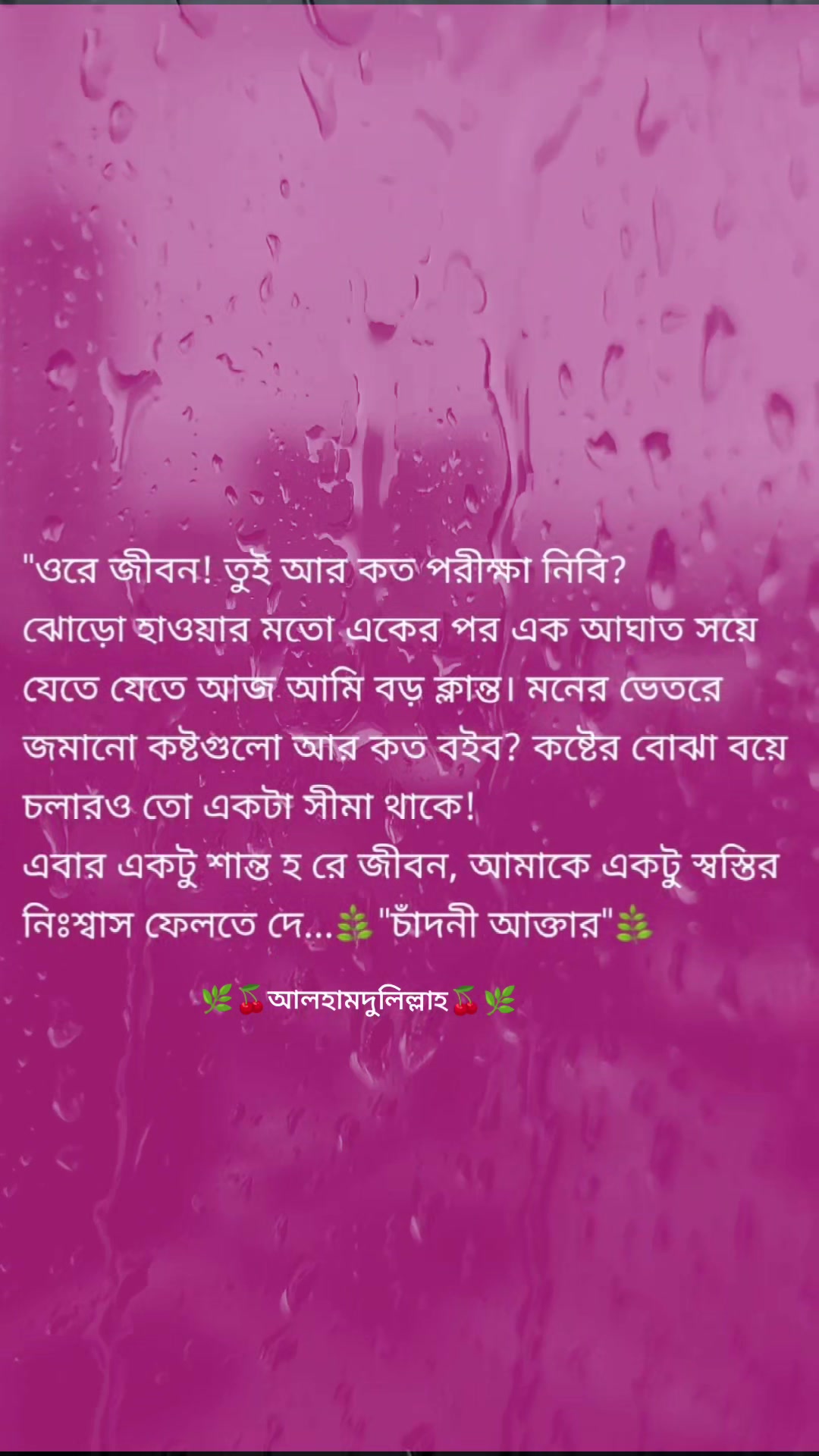 @🌿Star Moon🍒Chandni🌿