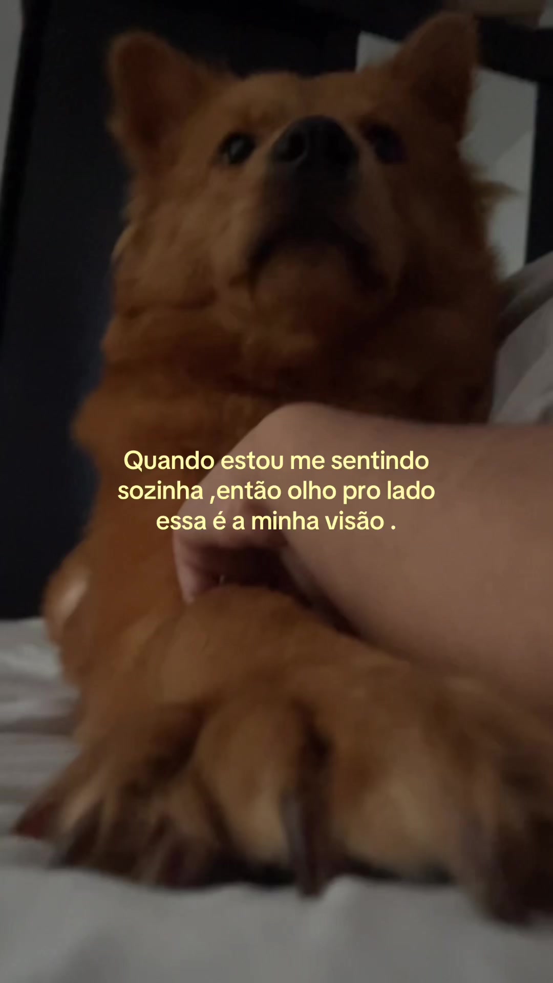 @Estefani Bueno