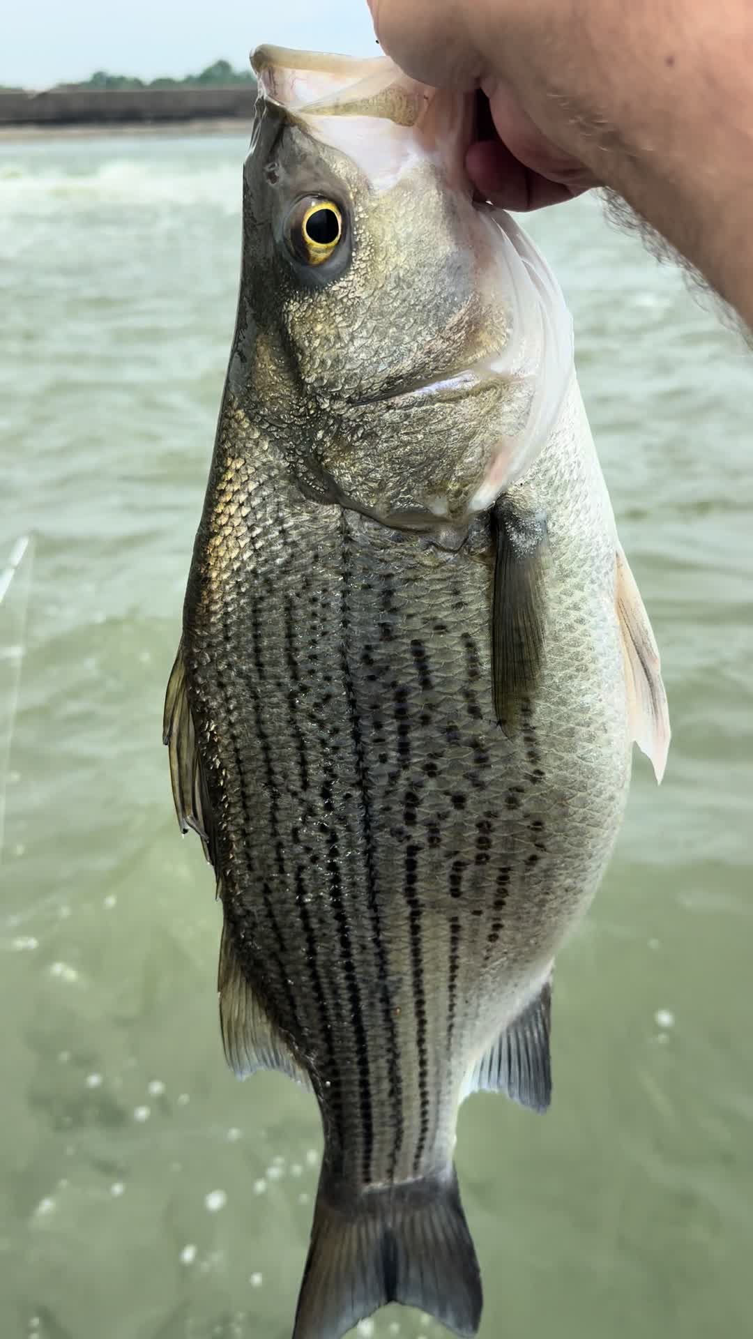 @Kentucky Fishing