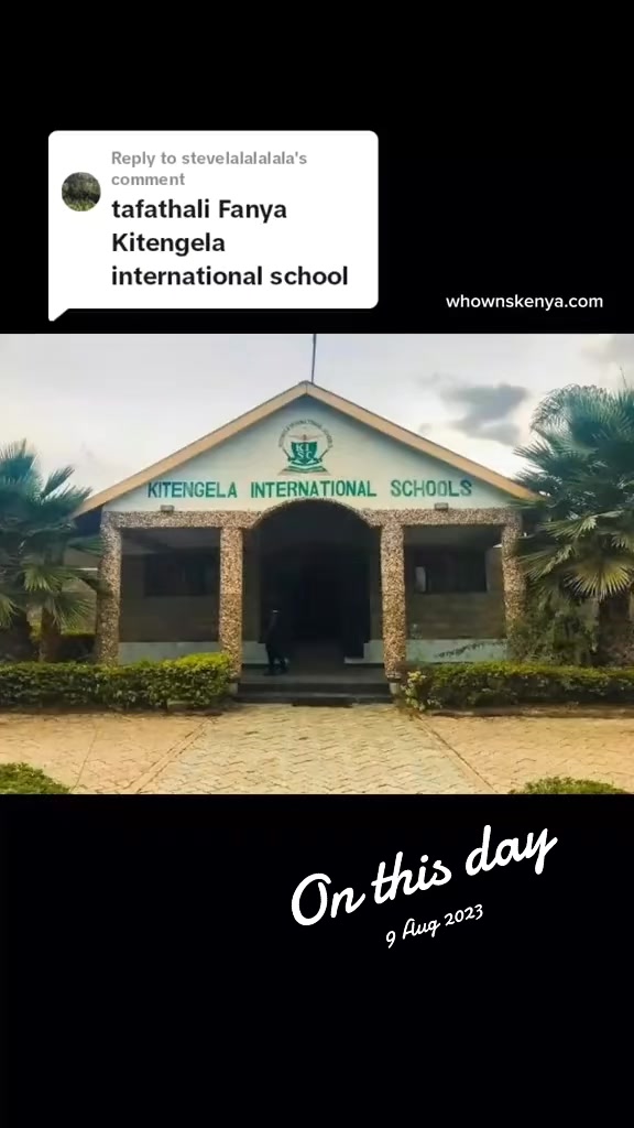 @who owns Kenya