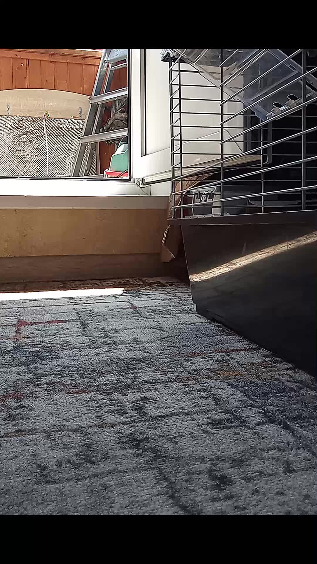 @ArtWorkout