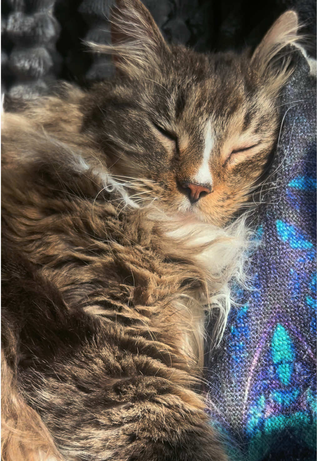 @☀️