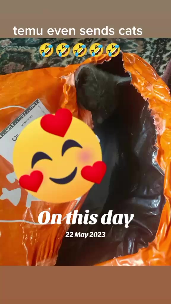 @shellyteddybear1