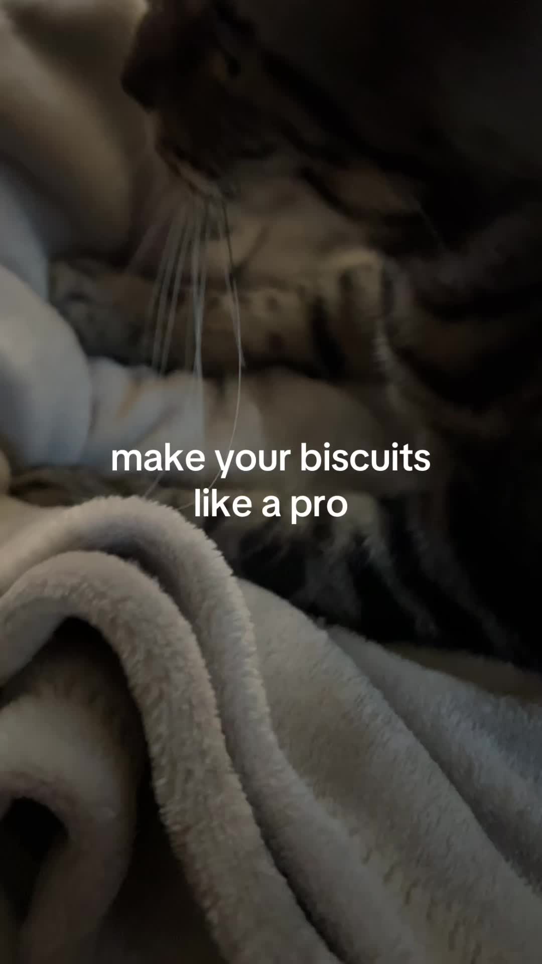 @maya ౨ৎ