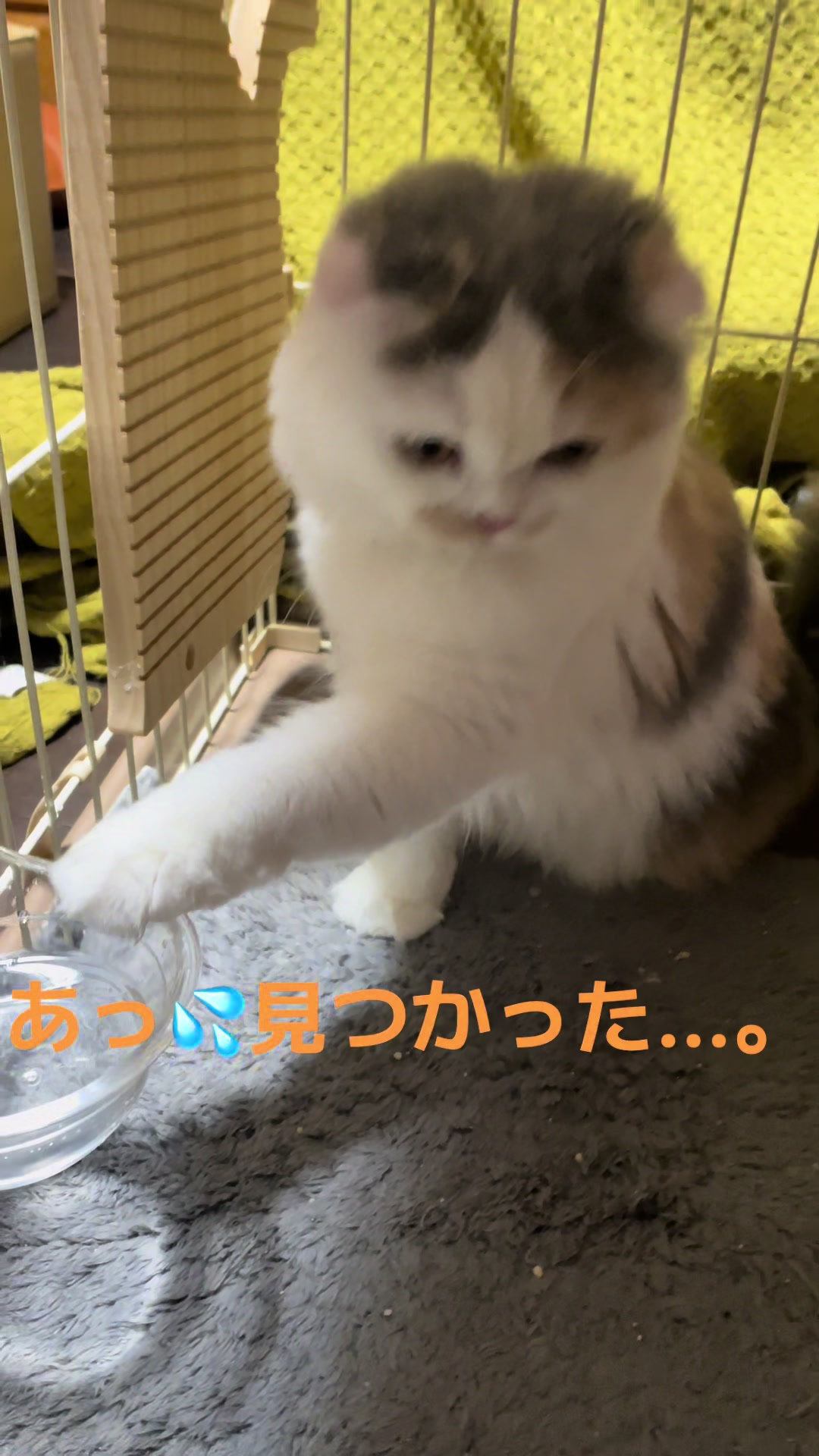 @むぎころ