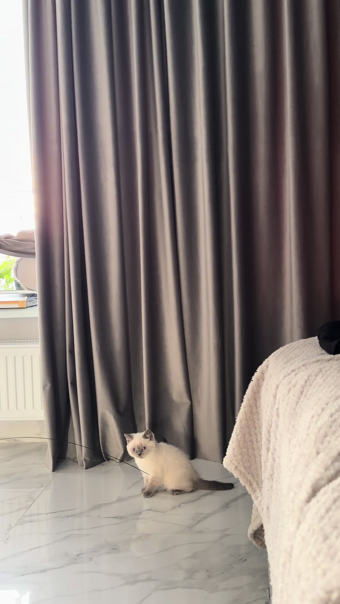 @Трускавецька киця 😻