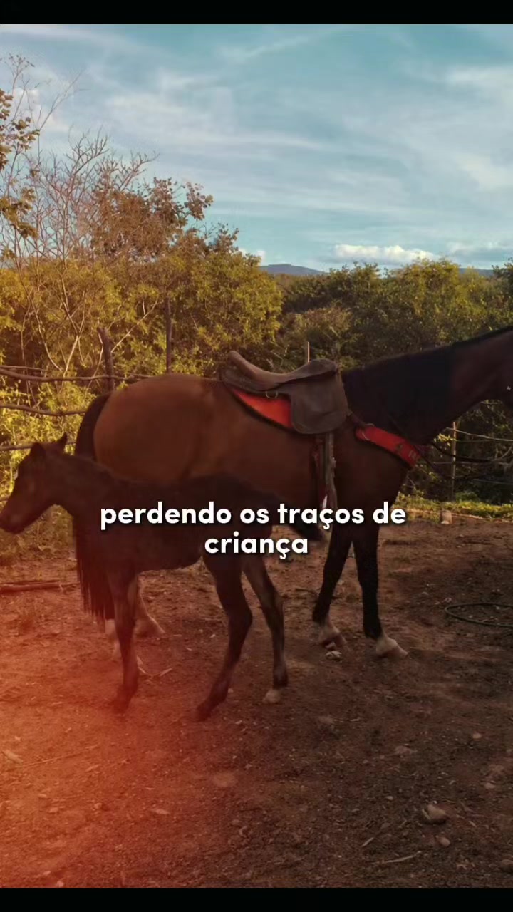 @Jay_morena❤️