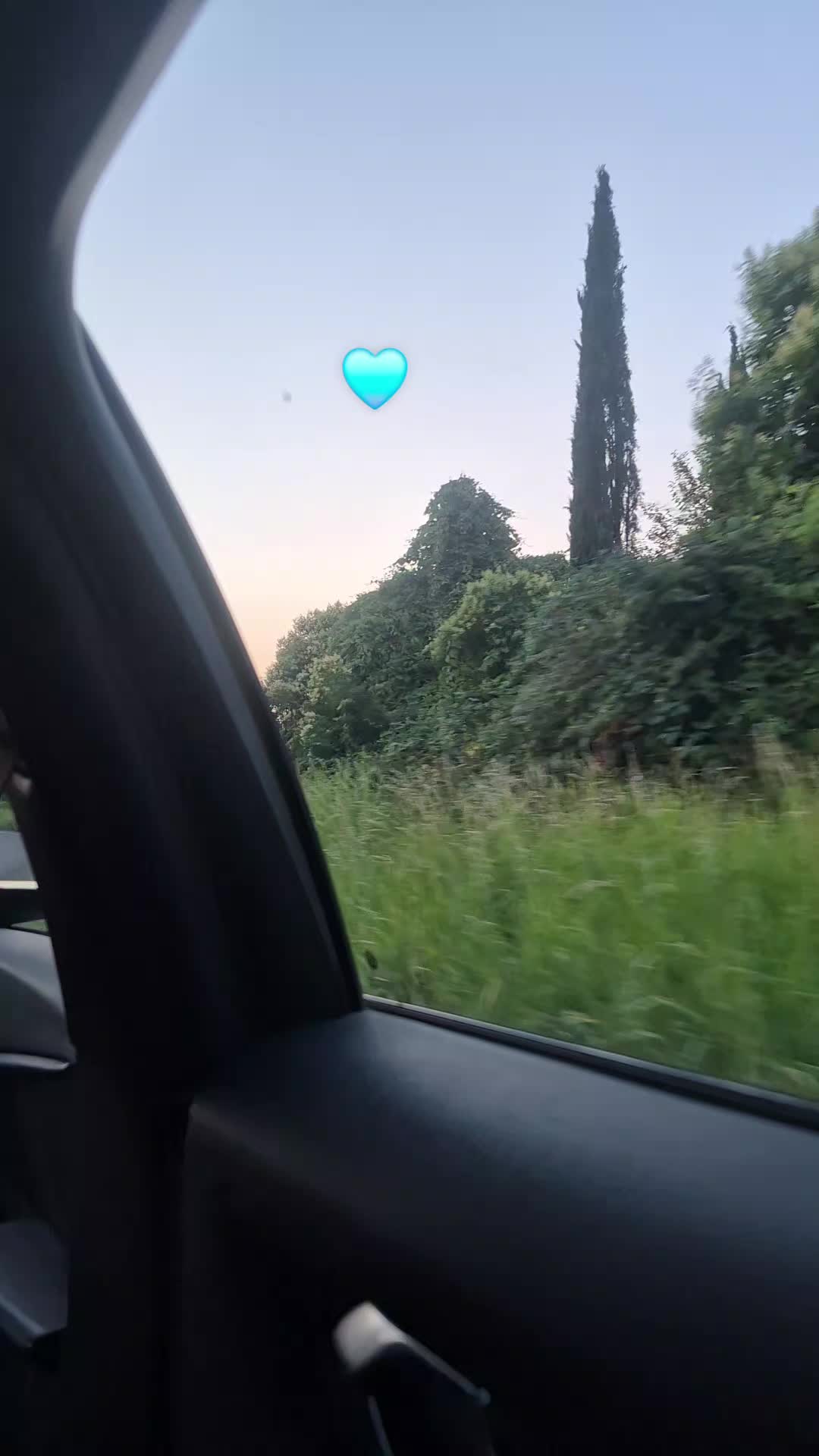 @𝓥𝓲𝓸𝓵𝓪🌊🌺