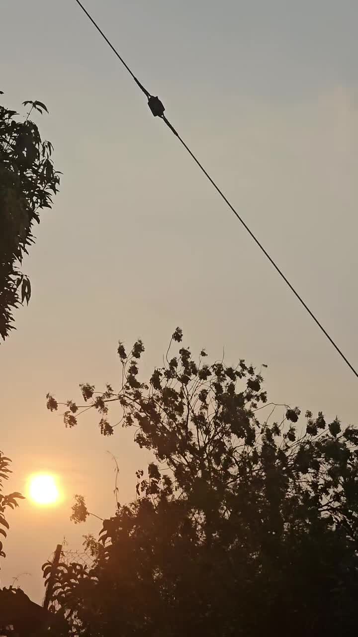 @🤍🦋 Sai Prasad Ras 🦋🤍