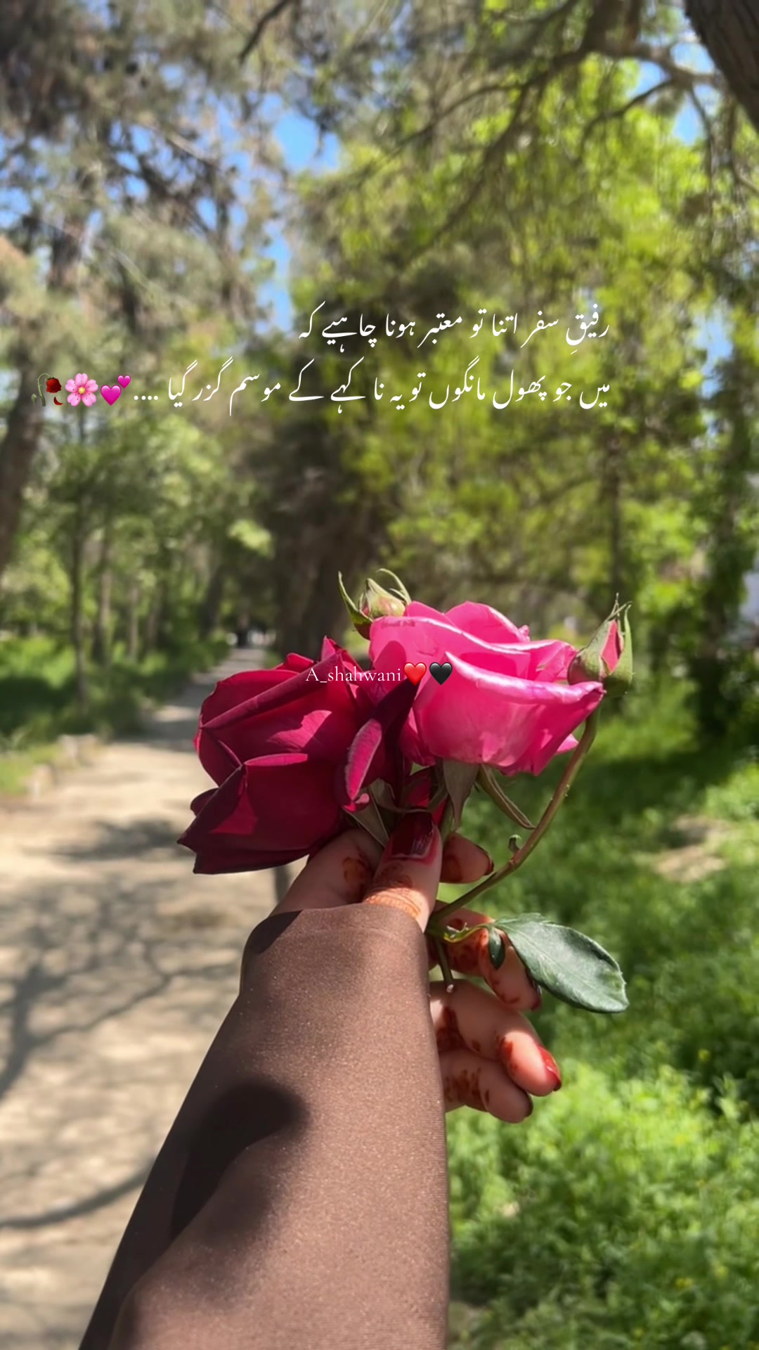 @⚜️BalOch_ZaDii⚜️