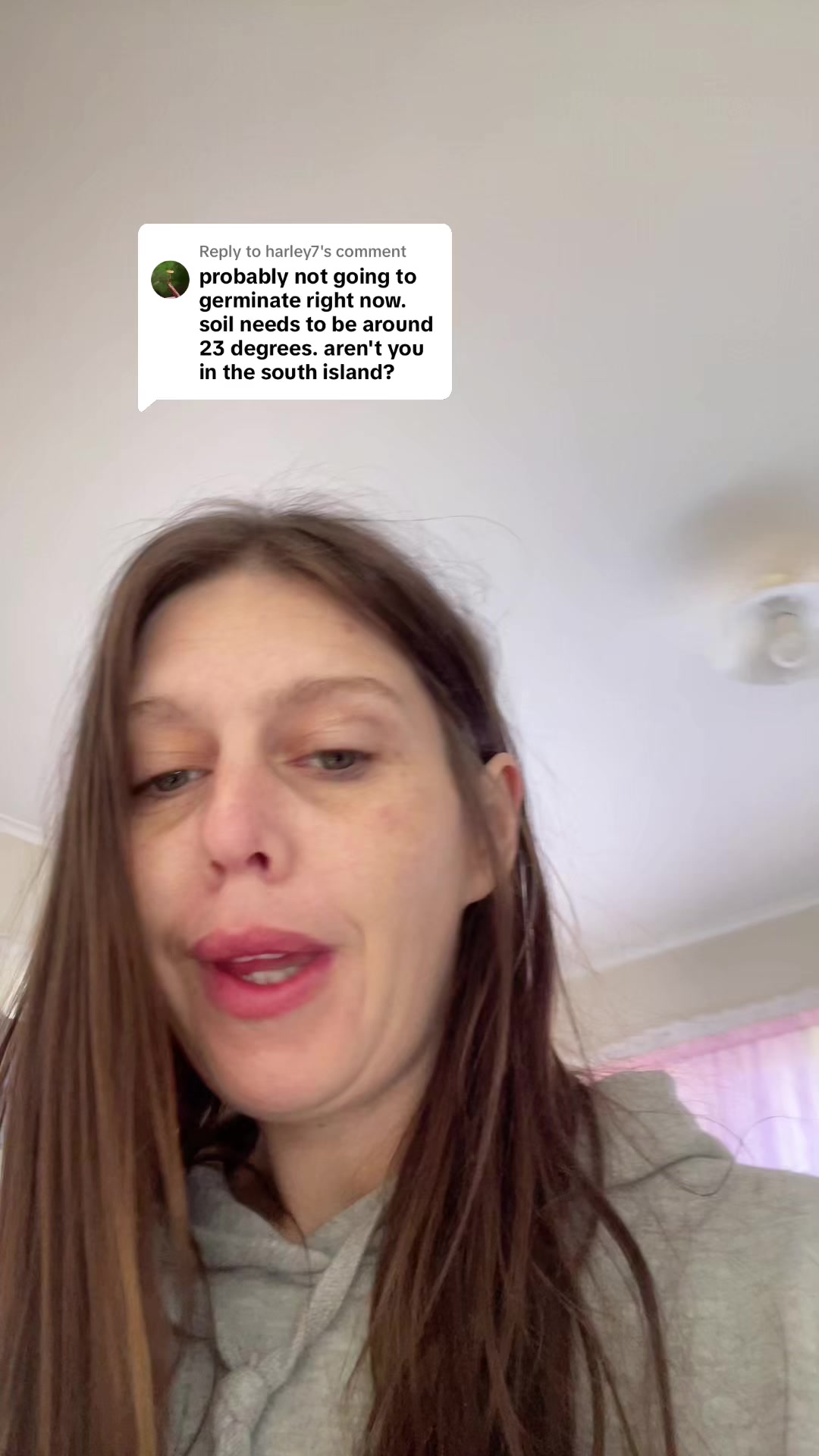 @DanisDailyDoseD-Low