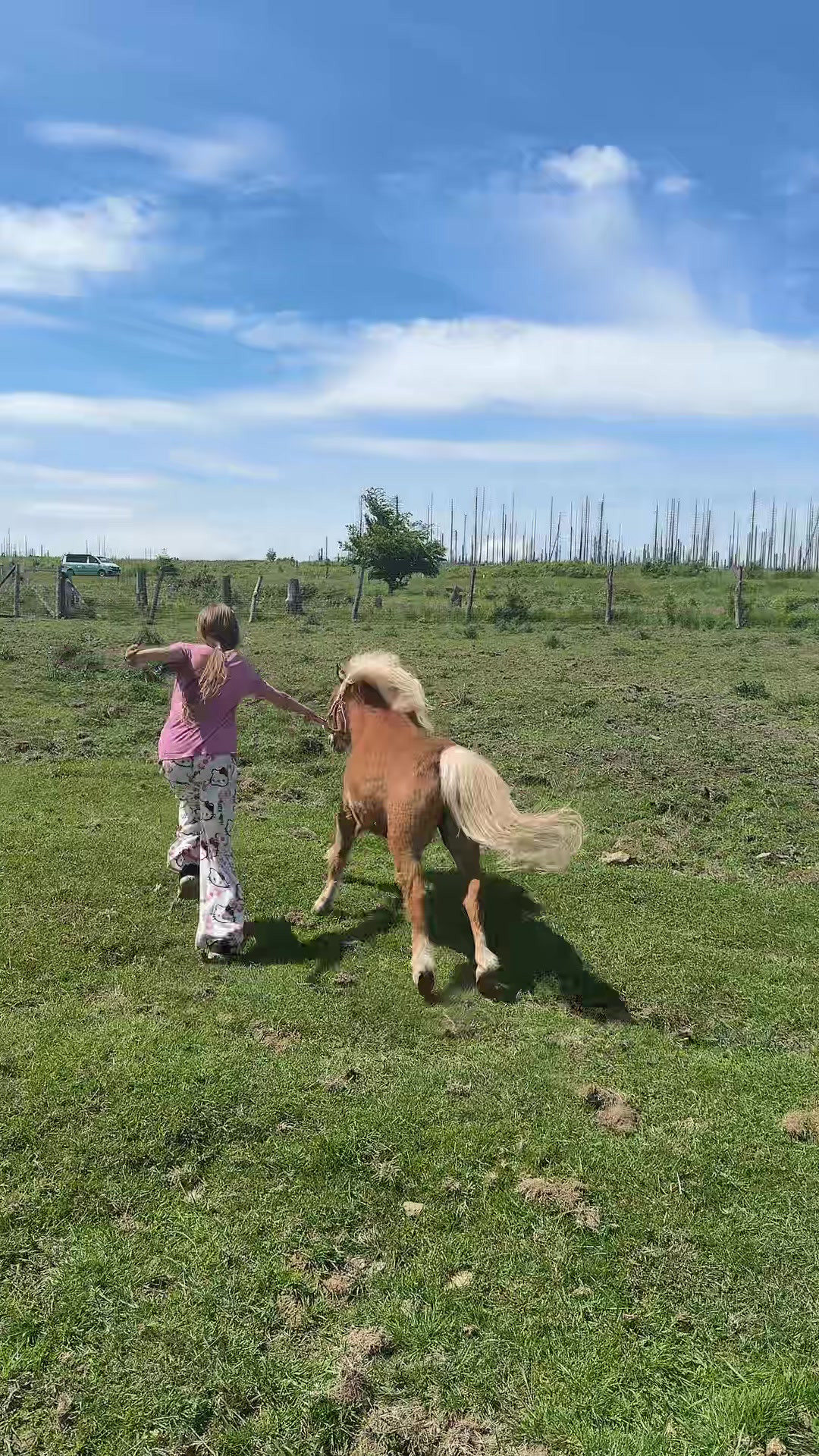 @HafiHorse2
