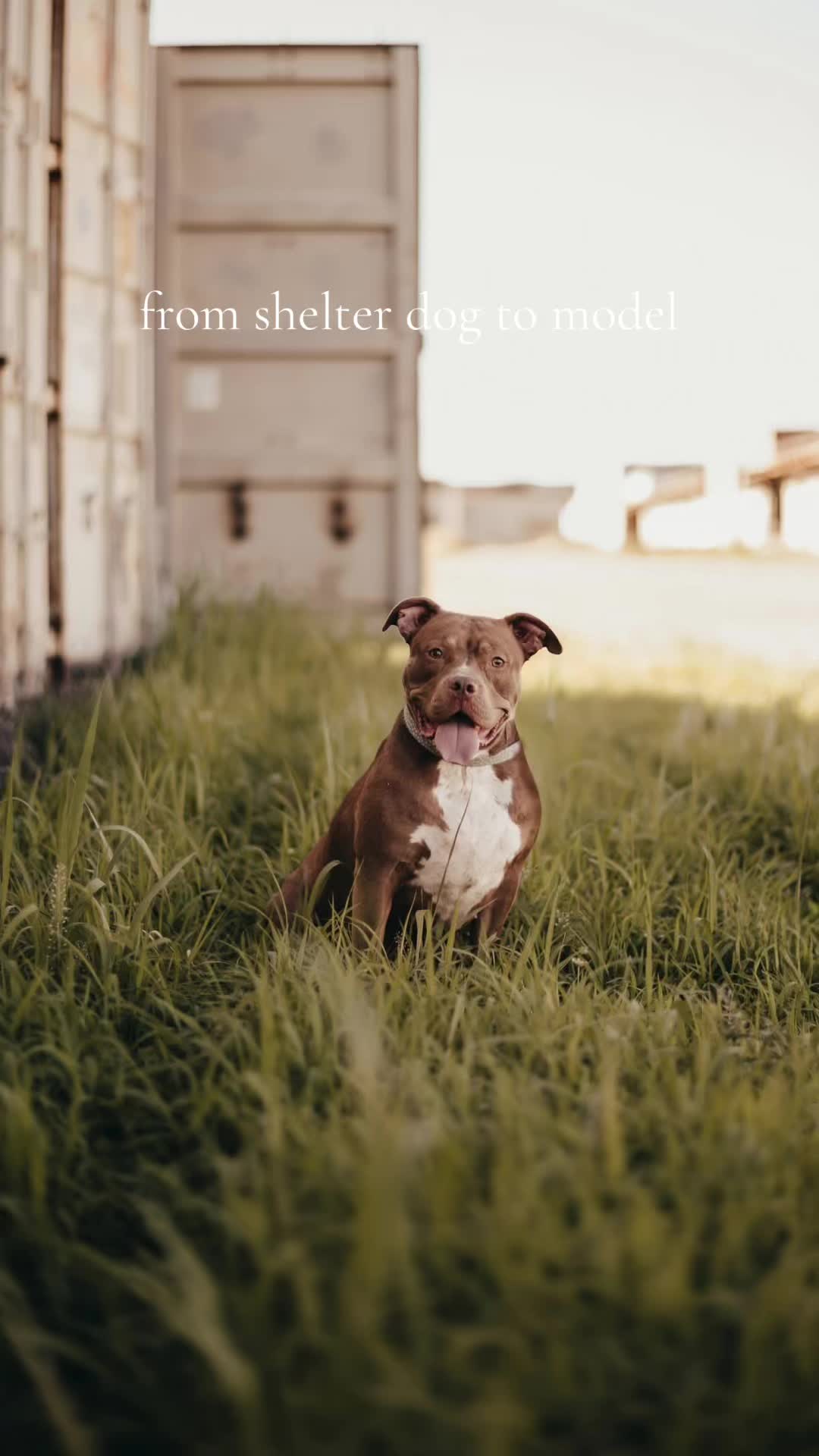 @Jerri Sparks | Photographer