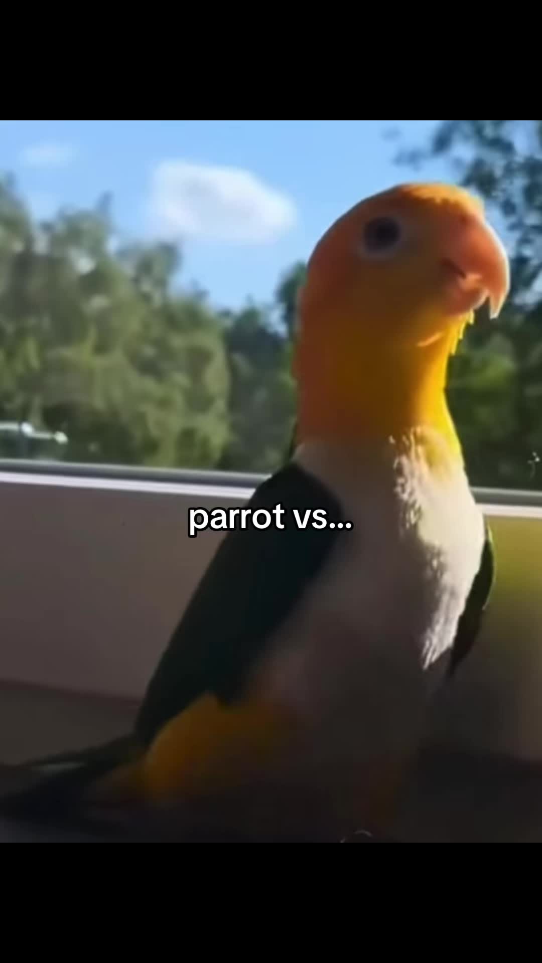 @JoJo