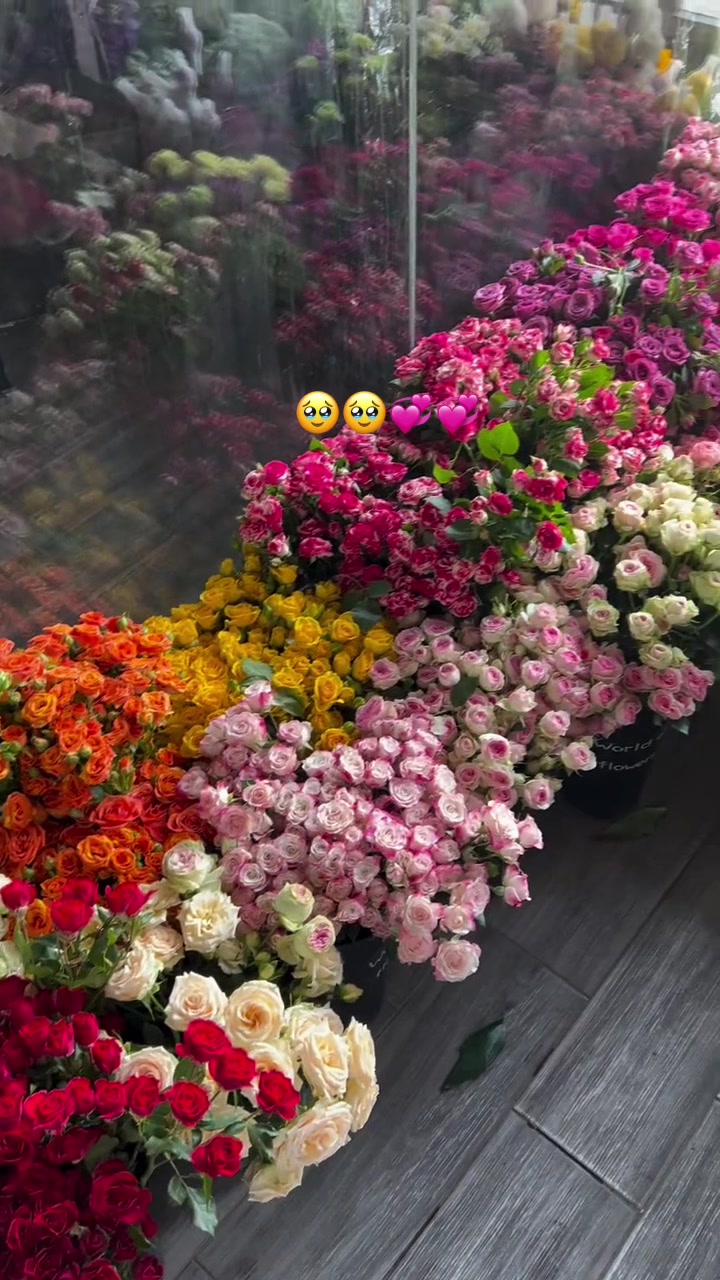 @هدايا الخبر