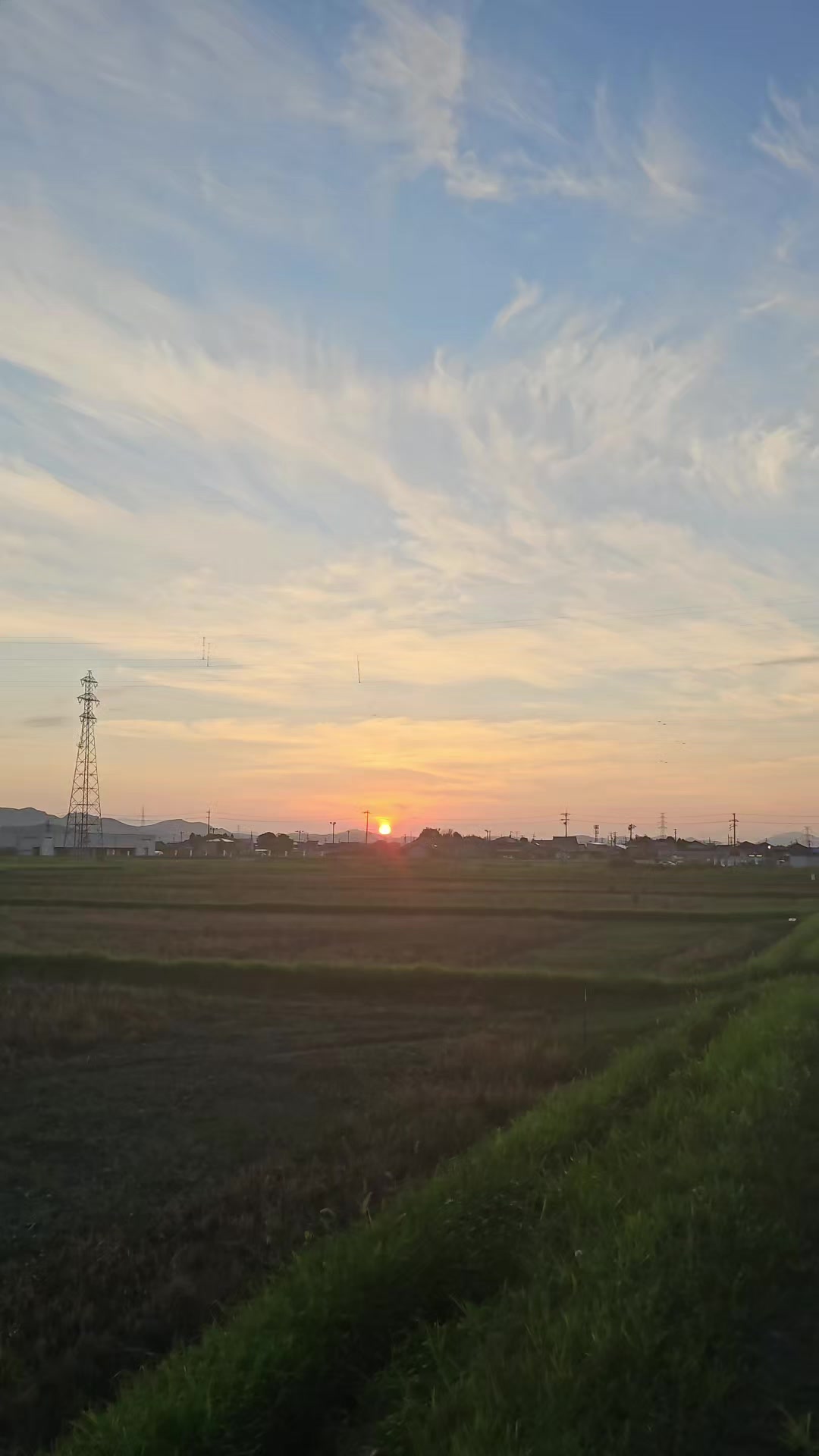@hanabi2666