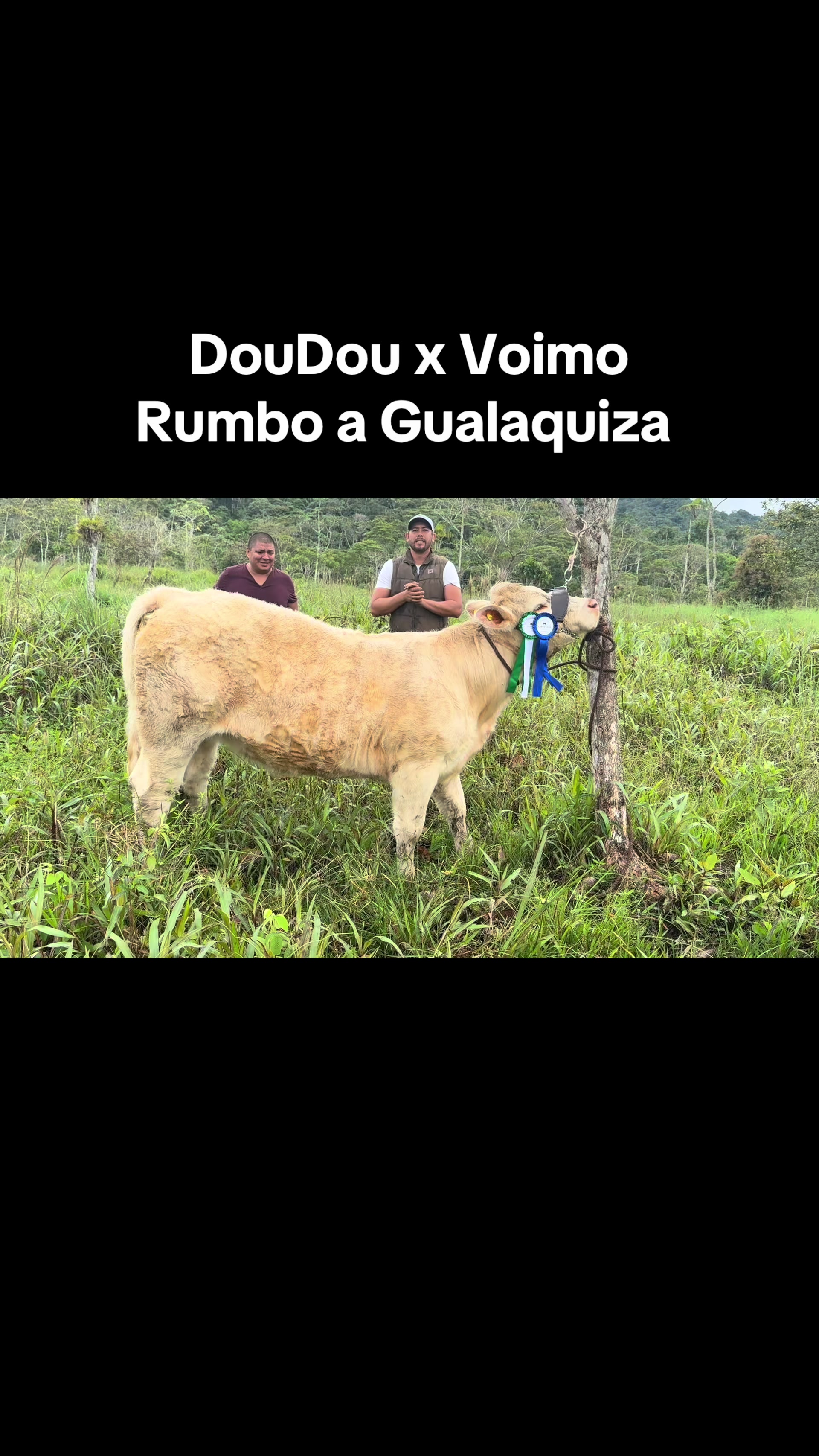 @Hern&aacute;n Andres