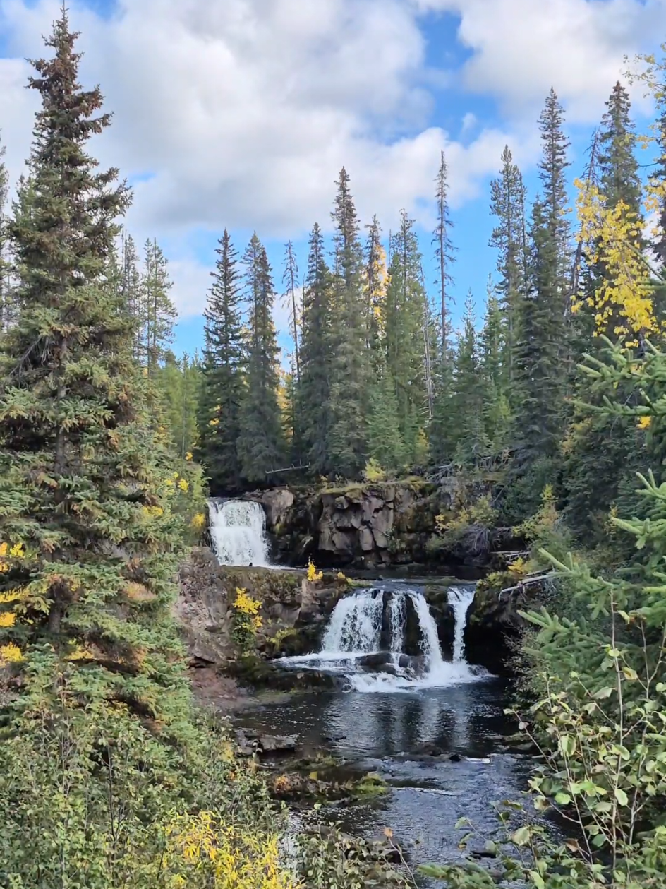 @Mooneyes199 🇨🇦