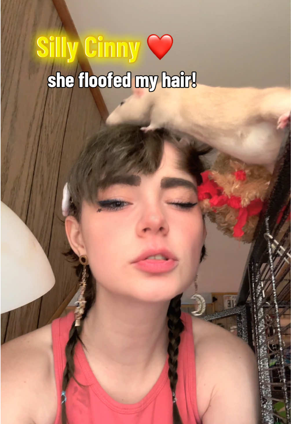 @lookatmyrodents