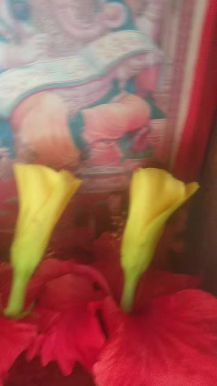 @Mina Shriwasatav