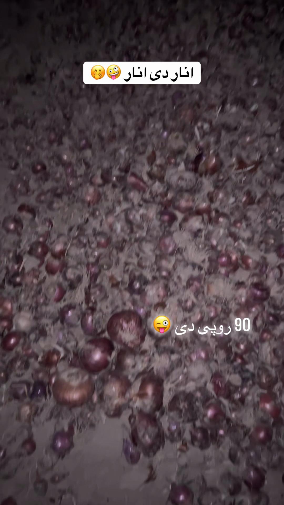 @𝐀𝐌𝐢𝐍😊 𓆩ℛ𓆪🫀 𝐊ᕼᴀɴ