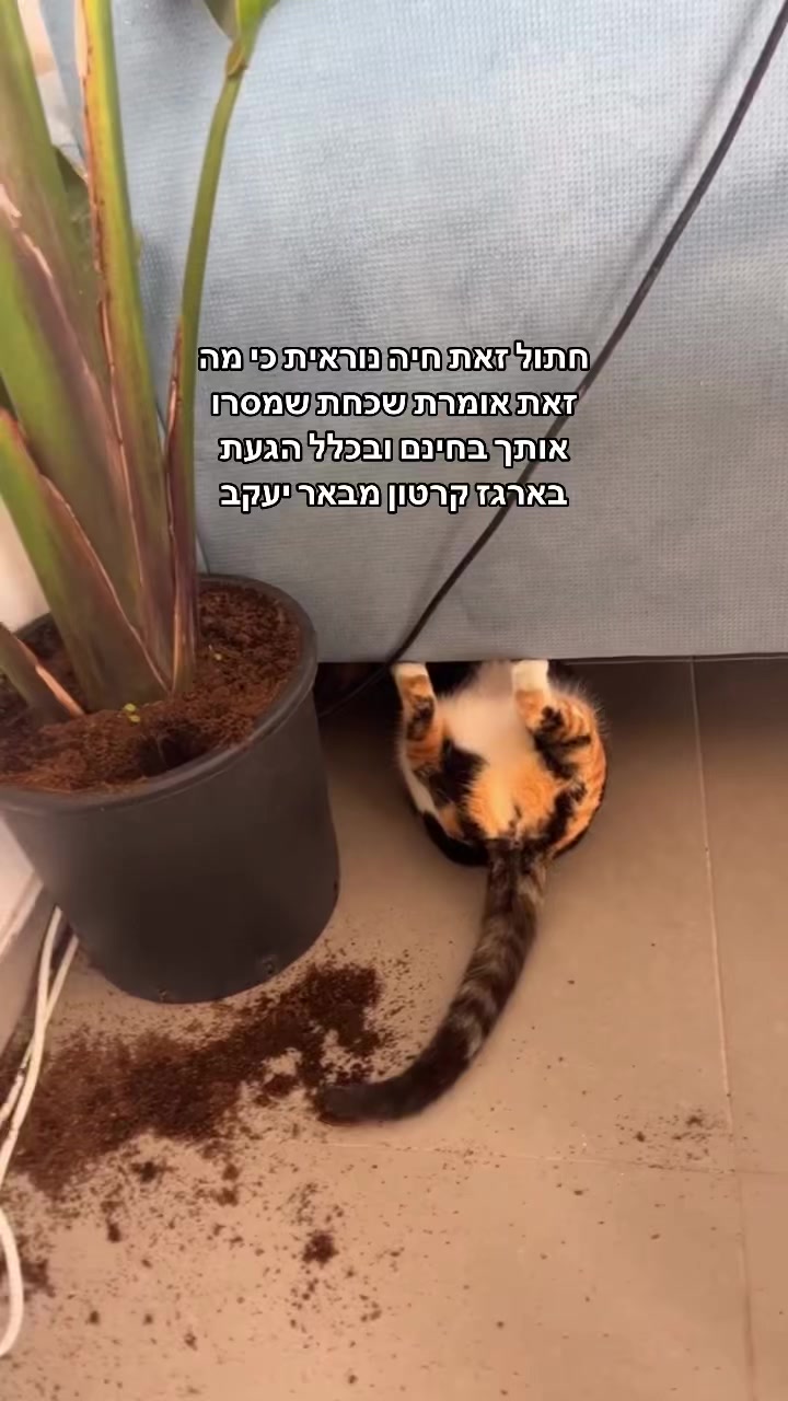 @מירב מלכת הזבל והעציצים