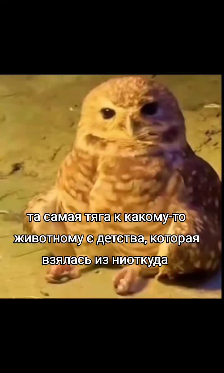 @𖤓𝙱𝚛𝚢𝚝𝚊𝚕𝚒𝚝𝚒𓆤𝂅𝅄 𞥊