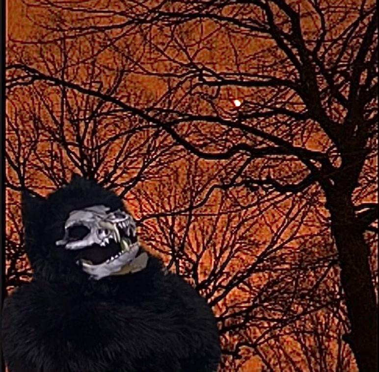 @000Ê Ń T Î T Ÿ000
