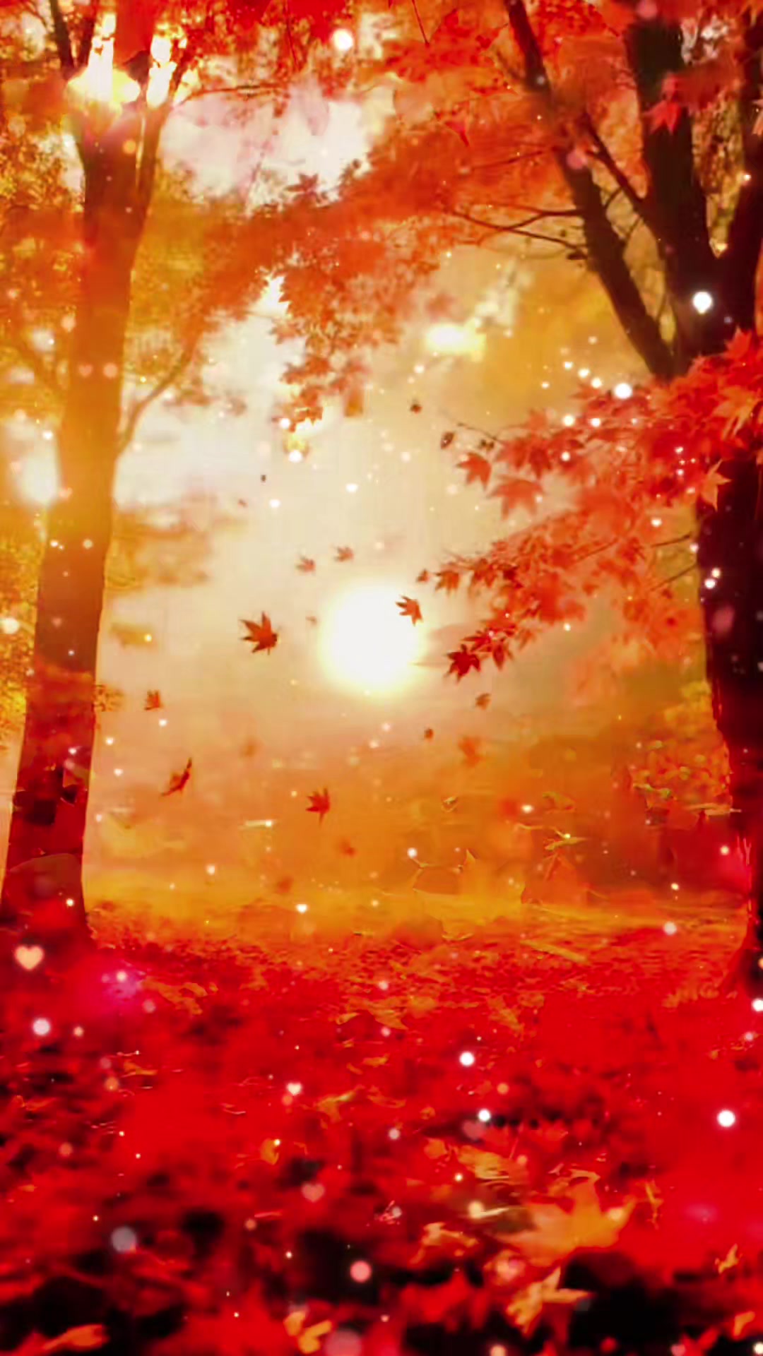 @🍁MOKA🍁