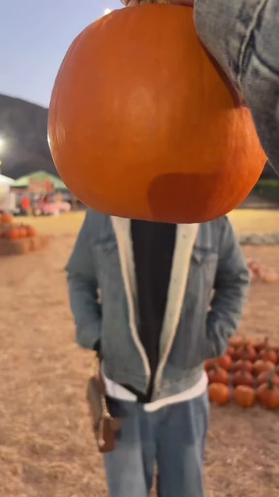 @𝑐𝑒𝑙𝑖𝑎♔