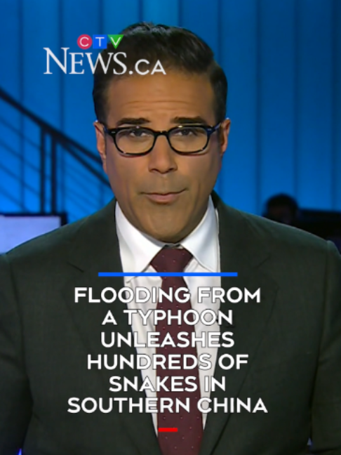 @CTVNews
