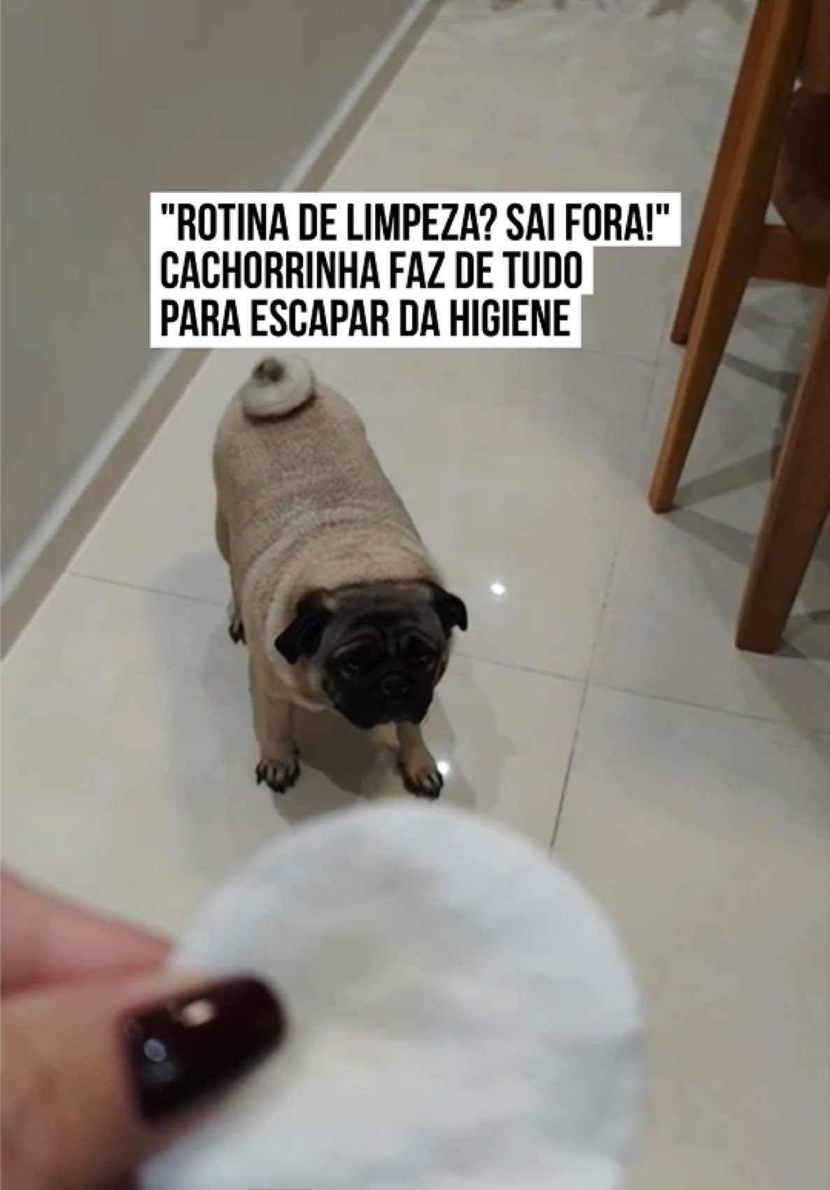 @Metrópoles Oficial