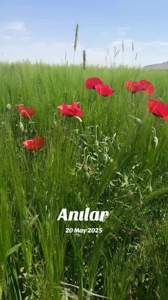 @42🇹🇷😉fenomen😉🇹🇷42