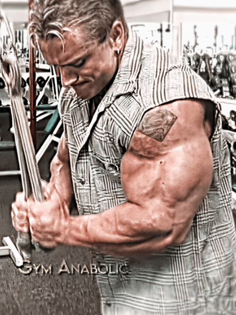 @Gym Anabolic