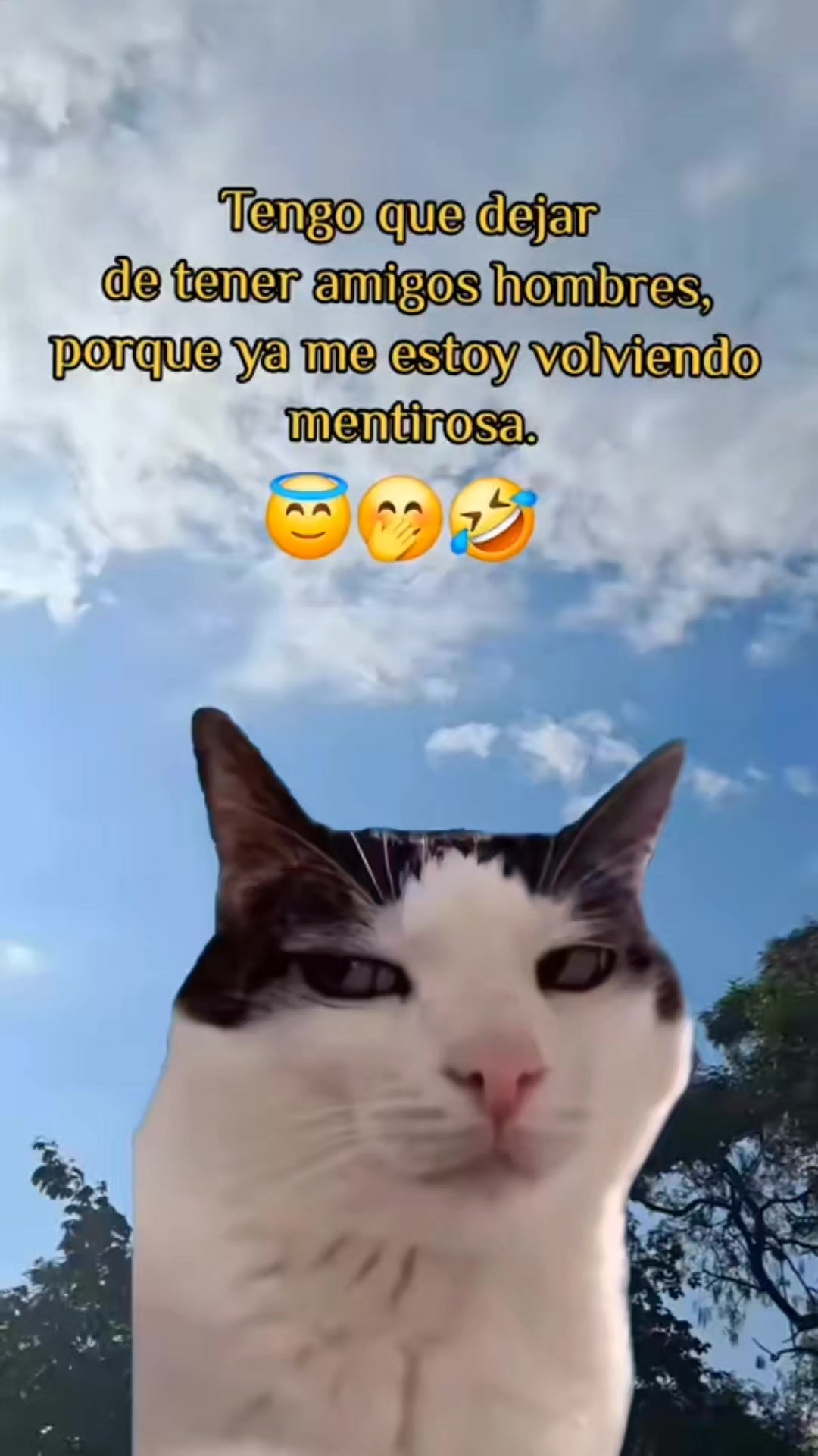 @Fany Stefany🍃