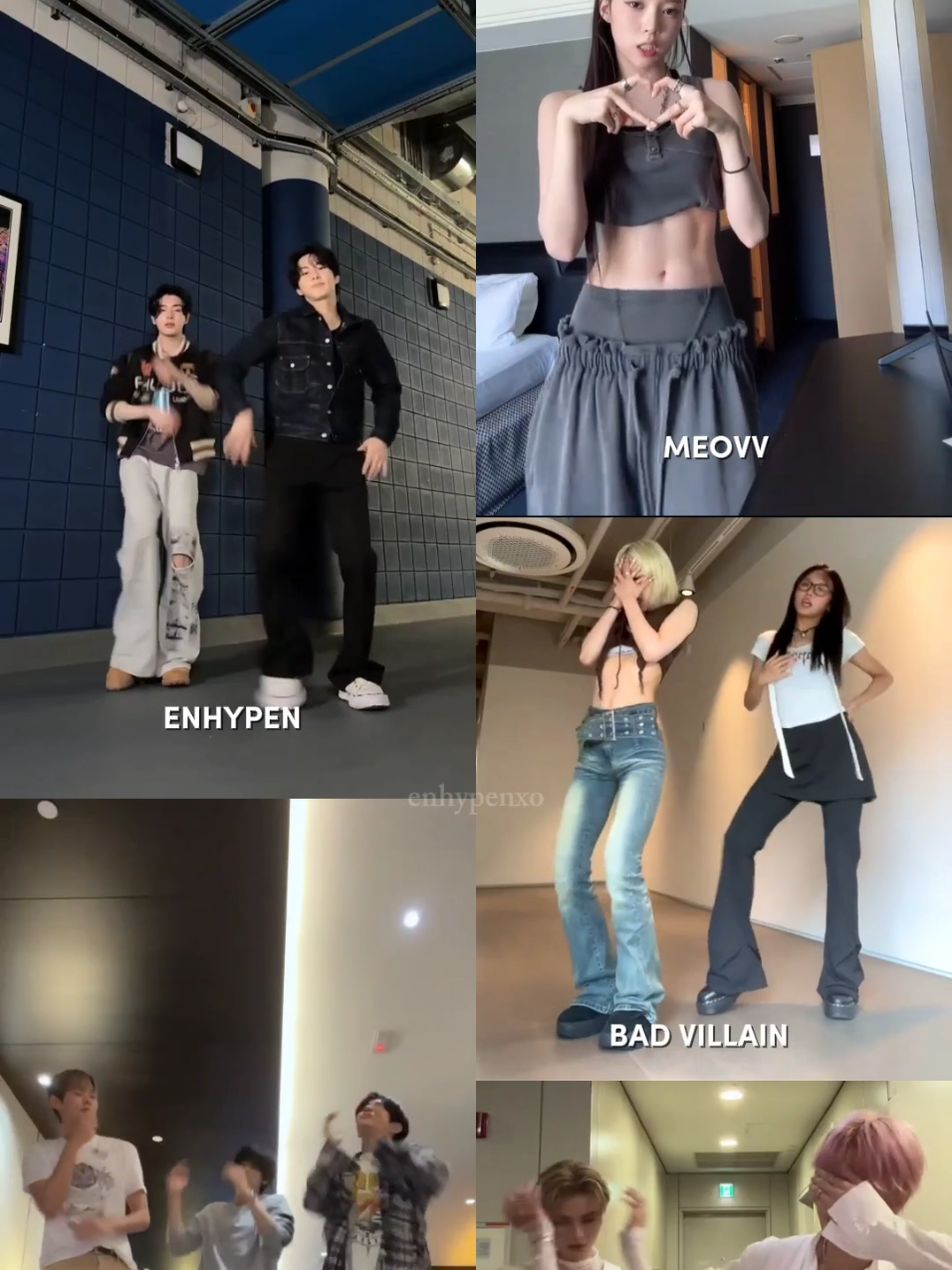 @enhypenxo