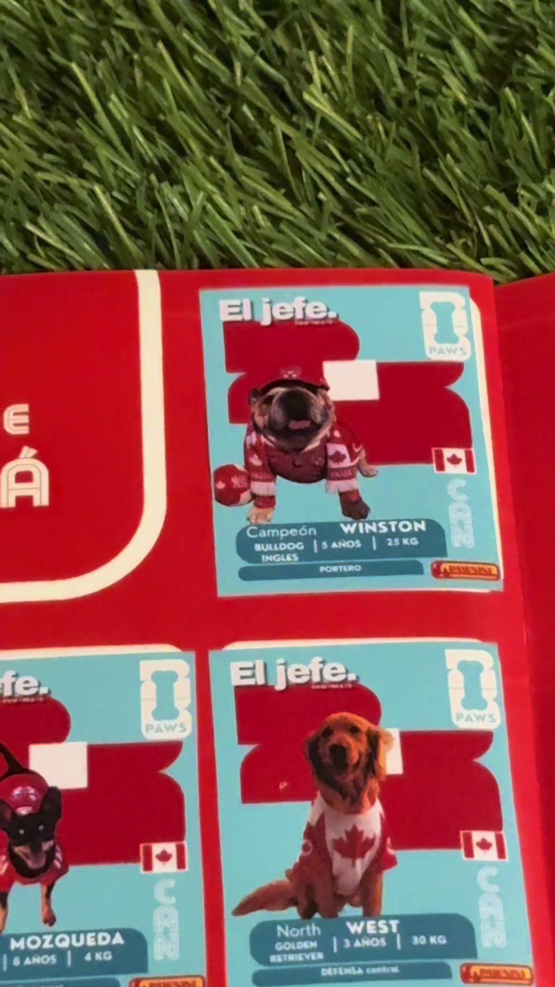 @Campeón Winston