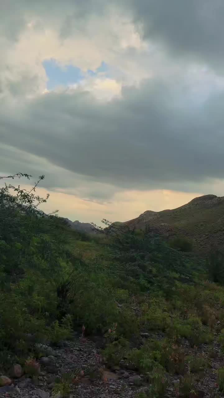 @Hadii____ff