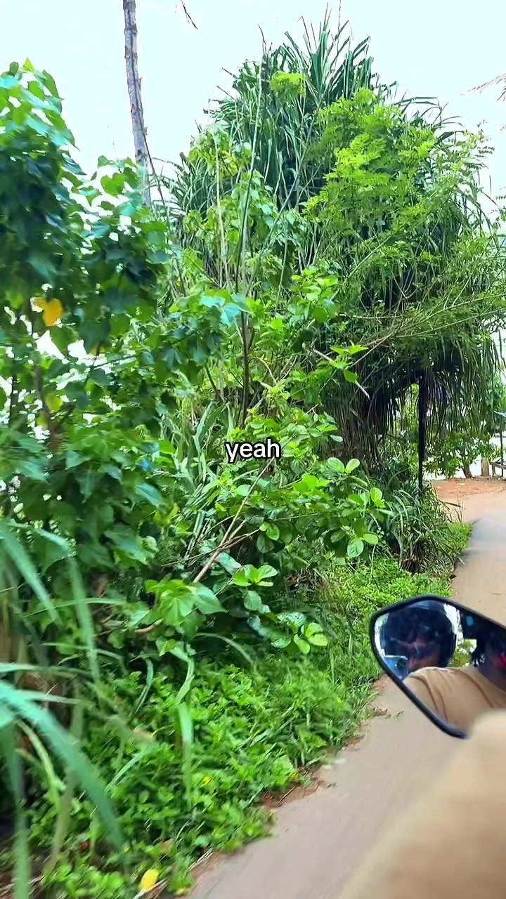 @Dulsara 🕷