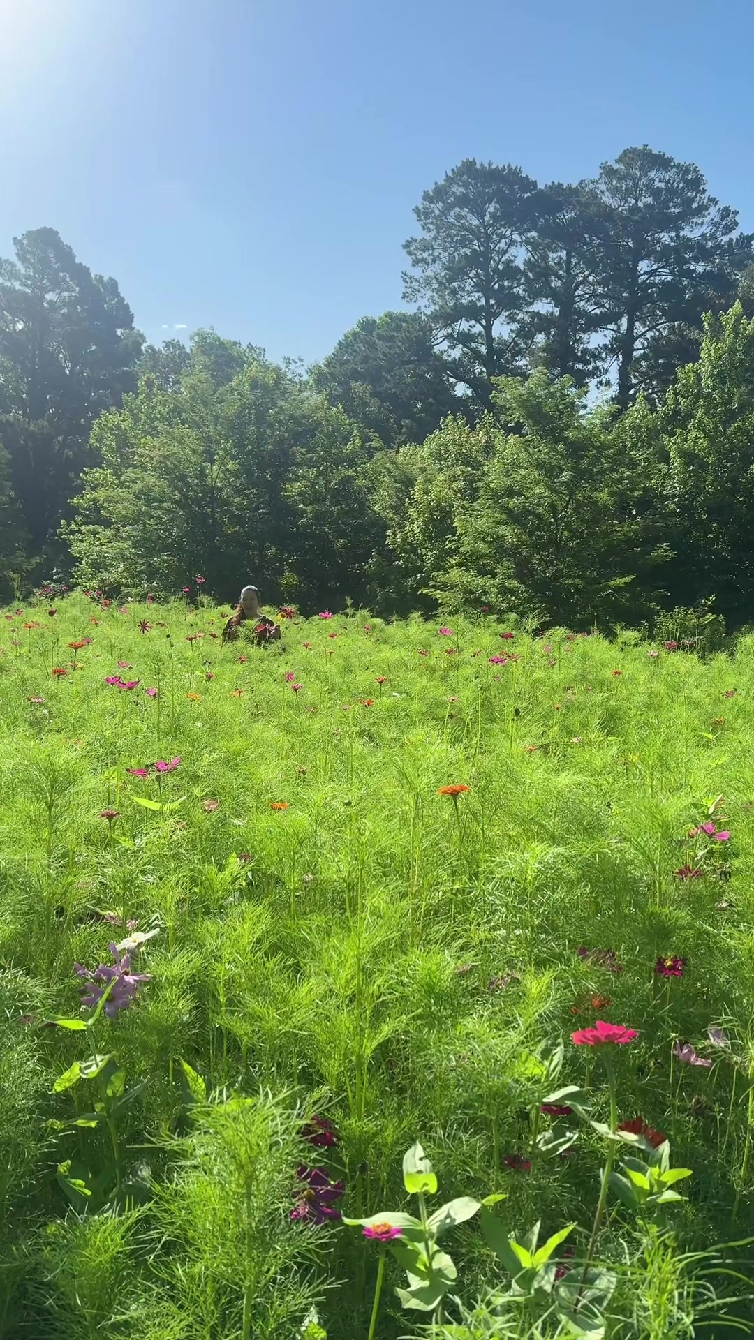 @Field & Forest